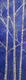 3 D Birch 12 x 36 acrylic sculptured mold $350