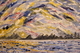 7 + 1 Artscape 16x20 knife painting 250