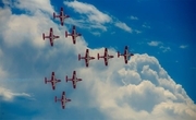 Canadian Snowbirds