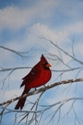 Cardinal 11 x 14 sold