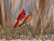Cardinal Couple 16 x 20 mixed medium   $300  sold