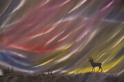 Northern Lights 24 x 36 oil wrapped canvas $450