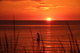 Evening paddleboard