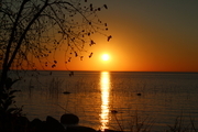 Fall Lake 1013