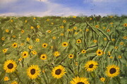 Field of Sunflowers 16 x20 on wood  sold