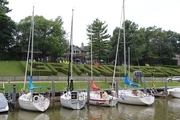Grand Bend Hedge