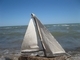 Lake Huron Driftwood Boat