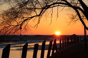 spring ice 941