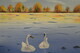 Swans in fall 16 x 20