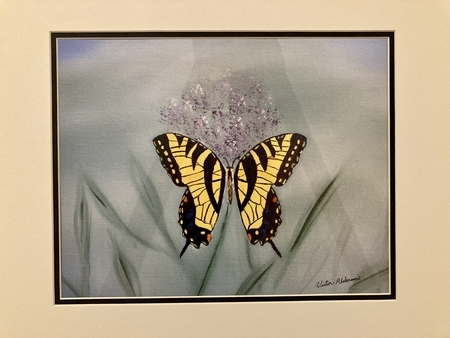 Tiger swallowtail