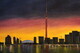 Toronto Evening 24 x 24 oil  wrapped canvas