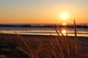 early spring breeze through beach grass 9528
